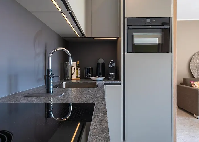 Fankhauser 리트임질러탈